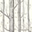 Papier peint Woods and Stars Cole and Son Black/White 103/11050