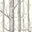 Tapete Woods and Stars Cole and Son Black/White 103/11050