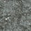 Rivestimento murale Bearded Leopard Arte Fossil Grey MO2051