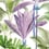 Palmeras Fabric Mindthegap Green/pink/Purple FB00006
