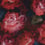 Velluto Mirafiore Rubelli Rosso 30123-001