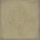 Albery Wallpaper Cole and Son Chamois 94/4023