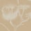 Lily Wallpaper Cole and Son Nougat 69/3113