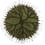 Roots Rug by Matali Crasset Nodus Green roots