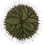 Tapis Roots par Matali Crasset Nodus Green roots