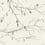 Winter Branches Wallpaper York Wallcoverings Off white NR1524