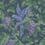 Woodvale Orchard Wallpaper Cole and Son Purple/Forest 116/5019