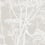 Cow Parsley Fabric Cole and Son White & Taupe F111/5019