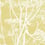 Cow Parsley Fabric Cole and Son White & Chartreuse F111/5020