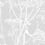 Cow Parsley Fabric Cole and Son Soft grey F111/5021