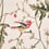 Stoff Hummingbirds Cole and Son Classic Multi F62/1001