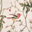 Tessuto Hummingbirds Cole and Son Classic Multi F62/1001