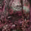 Jungle Panel Walls by Patel Magenta 110692