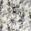Velours Japura Romo Quartz 7869-02