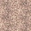 Lonesome George Wallpaper Poodle and Blonde Blossom WLP-02-LG-BL