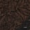 Tessuto Havane Antoine d'Albiousse Chocolat havane-chocolat
