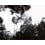 Palermo Black and white Panel Bien Fait 360x280 cm - 6 lés BF-PAL-REG-6L