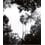 Palermo Black and white Panel Bien Fait 240x280 cm - 4 lés BF-PAL-REG-4L