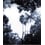Palermo Indigo Panel Bien Fait 240x280 cm - 4 lés BF-PAL-IND-4L