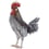 Rooster Rug Nodus Chicken rooster