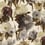 Pardes Fabric Rubelli Autumno 30065-001