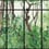 Papier peint panoramique Casa de Vidro Coordonné Sunrise Frame 9000051