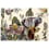 Backyard Rug Nanimarquina 170x240 cm 01FLOBAC00003