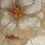Camelia Mosaic Vitrex Bianco camelia-150x290