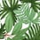 Tropical Tile Francesco De Maio Bianco tropical-bianco-53x53-1box