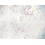 Rachel Panel Illustre Paris 350x270 cm - 5 lés - complet 18DWP001-515 et 18DWP002-515