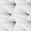 Fan Wallpaper Erica Wakerly Black/White FAN001