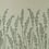 Feather Grass Wallpaper Farrow and Ball Ficelle BP5105