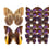 Butterflies Mix 12 Panel Curious Collections Violet CC-butterflies-mix-12