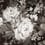 Impressionist Floral Panel York Wallcoverings Grey/Neutral MU0248M