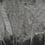 Papier peint panoramique Copacabana Metallics Coordonné Silver 9600901