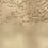 Carta da parati murale Eolia Metallics Coordonné Gold 9600040