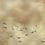Papier peint panoramique Koi Metallics Coordonné Gold 9600060