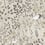 Aspen Wallpaper York Wallcoverings Off white HO2127