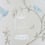 Papel pintado Birdcage Walk Nina Campbell Gris NCW3770-01