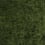 Terciopelo Sicilia Designers Guild Fern F1949/12