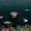 Deep Ocean Panel Coordonné Atlantic 9500500