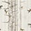 Birch Trees Wallpaper Coordonné Beige 9500041