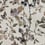 Goldfinch Song Wallpaper Coordonné Pear 9500031