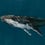 Papier peint panoramique Humpback Whale Coordonné Océan 9500100
