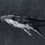 Papier peint panoramique Humpback Whale Coordonné Nuit 9500102