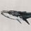 Papier peint panoramique Humpback Whale Coordonné Gris 9500103