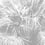 Palmeto Panel Code Light grey B9102 intissé