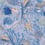 Conchiglie Panel Code Blue C1205 intissé