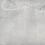 Papier peint panoramique Birds Tres Tintas Barcelona Grey JO1034-3