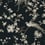 Bird And Blossom Chinoserie Wallpaper York Wallcoverings Black KT2173